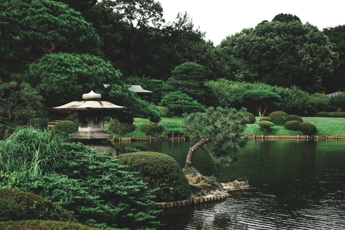 Tokyo Bucket List: 17 Incredible Things to Do in Tokyo